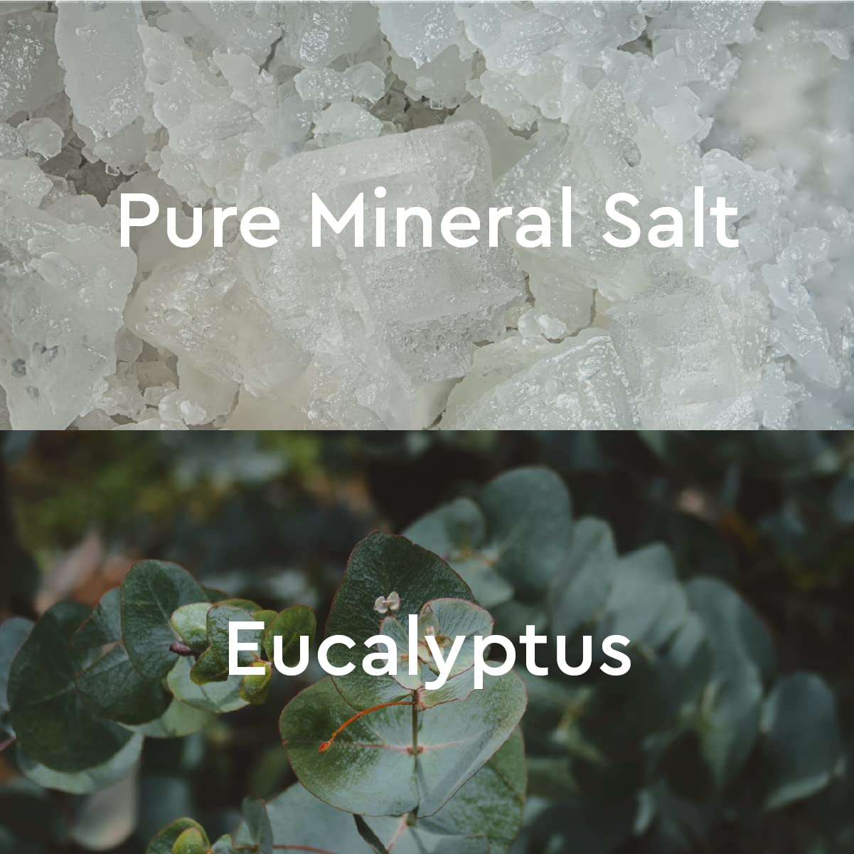 Mineral Bath Salt Discovery Set (4 Mini Sachets)