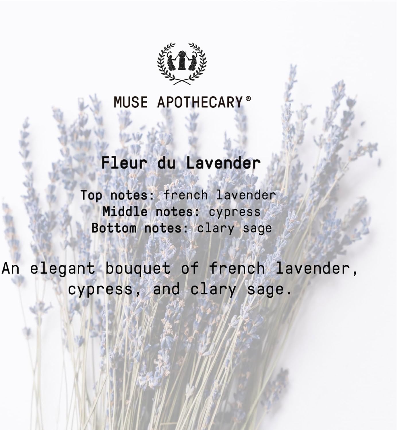 Muse Bath Apothecary Bath Ritual - Aromatic and Nourishing Bubble Bath, Infused with Natural Aromatherapy Essential Oils - 16 oz, Fleur du Lavender, 2 Pack