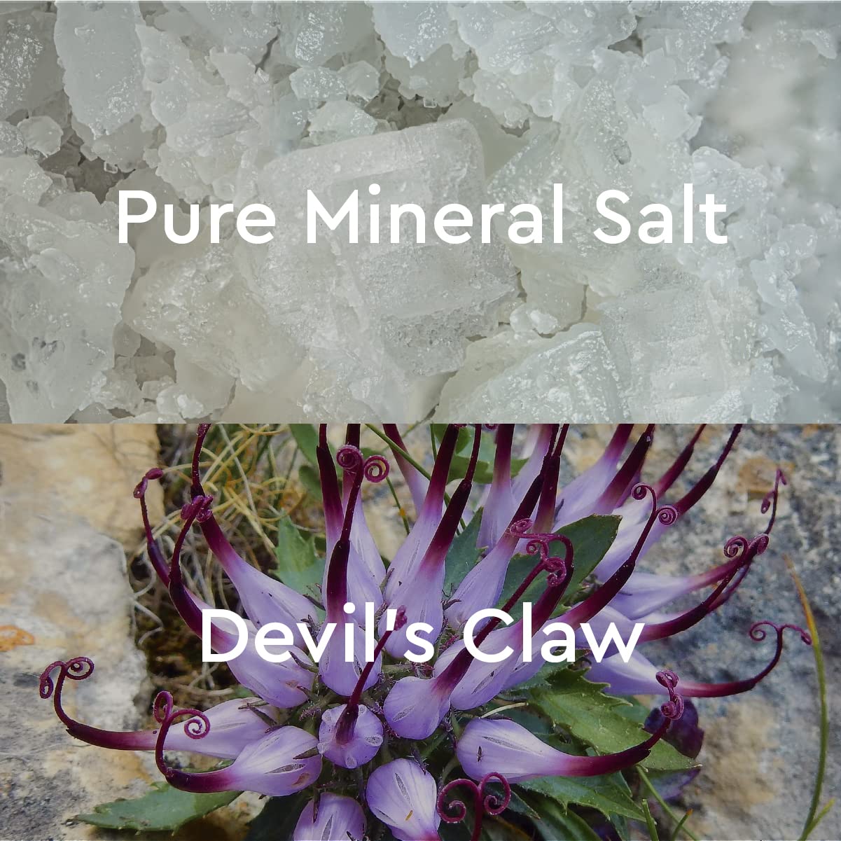 Mineral Bath Salt Discovery Set (4 Mini Sachets)