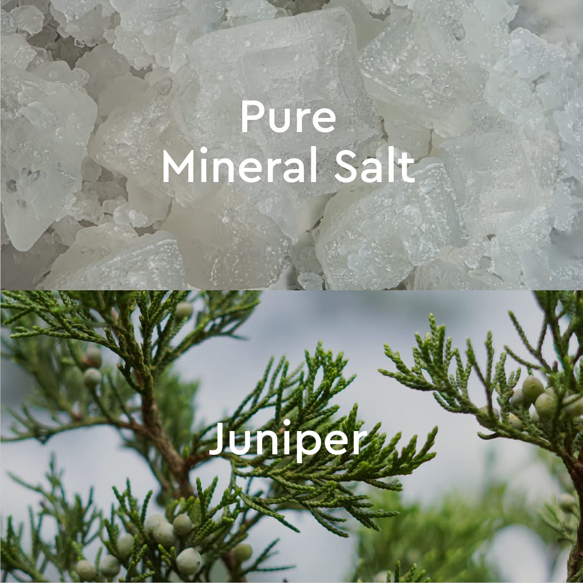 Mineral Bath Salt Discovery Set (4 Mini Sachets)