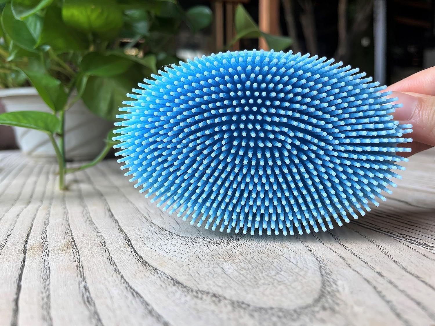 Premium Sensory Brush for Kids or Autism,Soft Silicone Body Scrubber,2 in 1 Sensory Room Occupational Therapy Sensory Brushes,Silicone Loofah,Pets Shower Brush Bath Brush Shampoo Brush(Whale-Teal)
